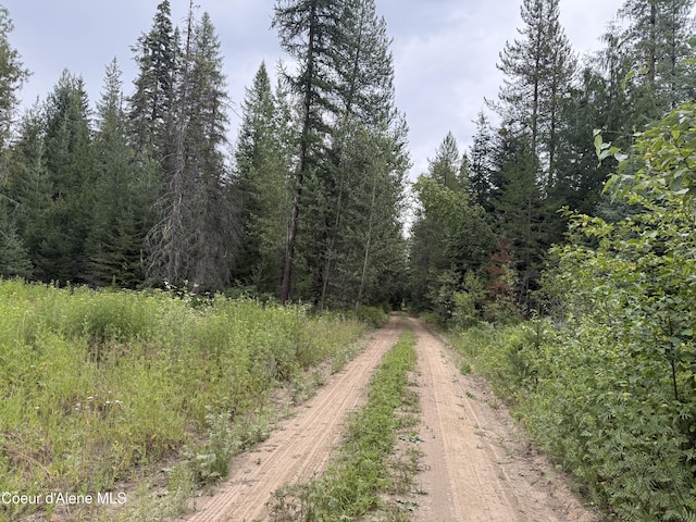 160 Nowhere Rd, Priest River, ID 83856 - photo 38