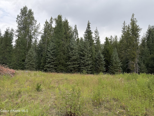 160 Nowhere Rd, Priest River, ID 83856 - photo 40
