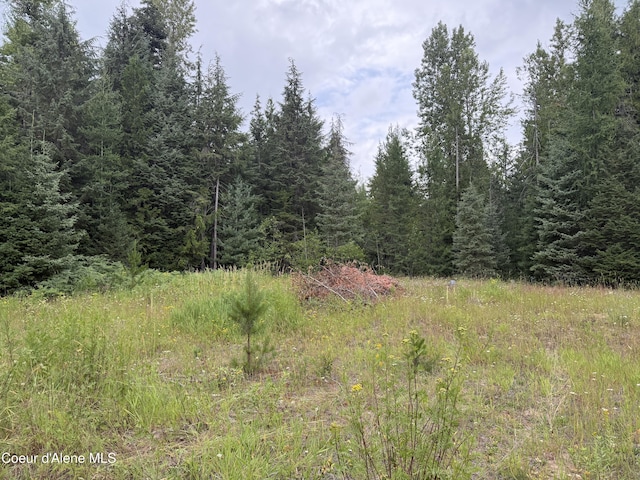 160 Nowhere Rd, Priest River, ID 83856 - photo 41