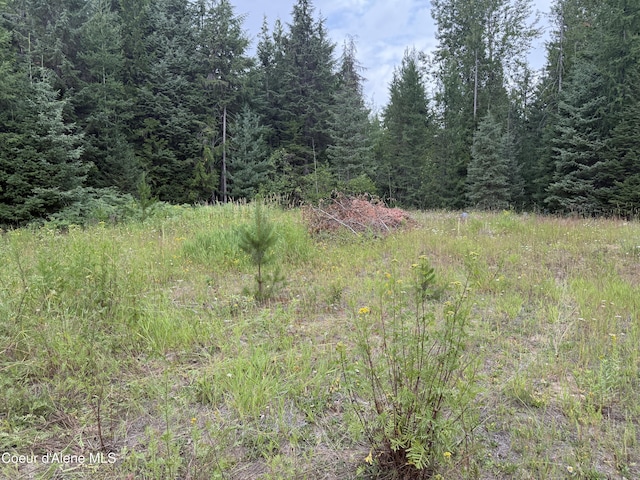 160 Nowhere Rd, Priest River, ID 83856 - photo 42