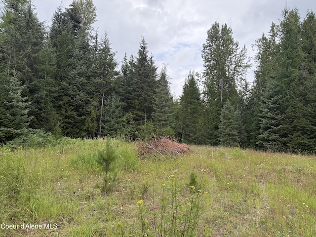 160 Nowhere Rd, Priest River, ID 83856 - photo 43