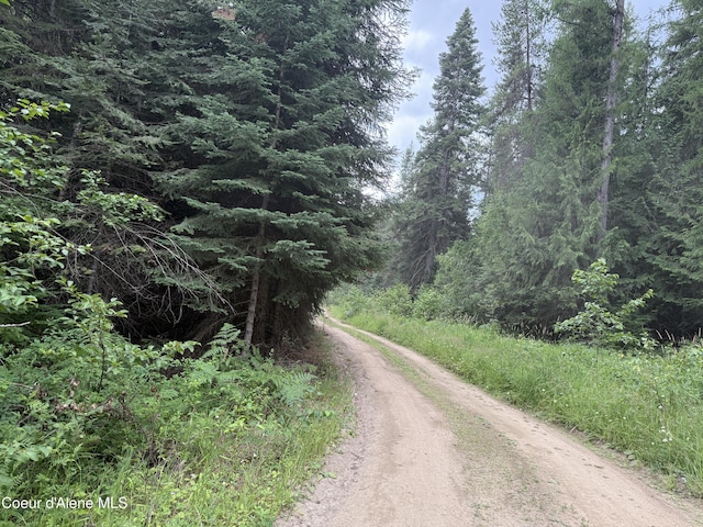 160 Nowhere Rd, Priest River, ID 83856 - photo 44