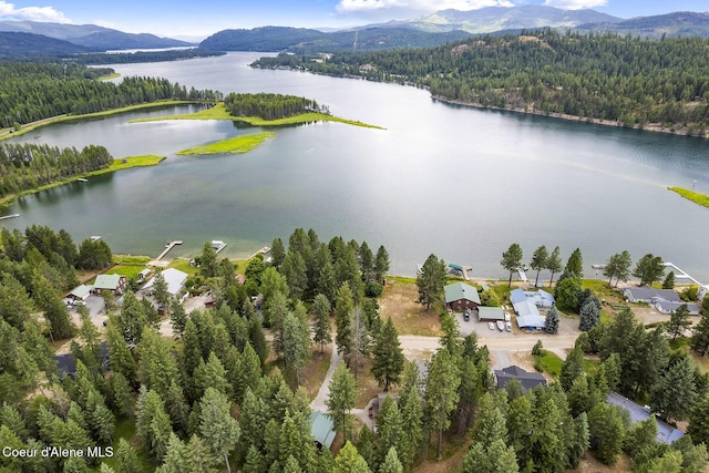 176 Swan Shores Dr, Sagle, ID 83860 - photo 1
