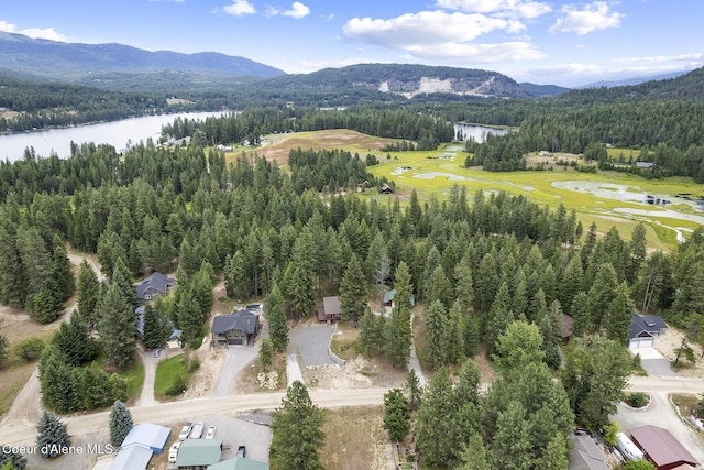 176 Swan Shores Dr, Sagle, ID 83860 - photo 16