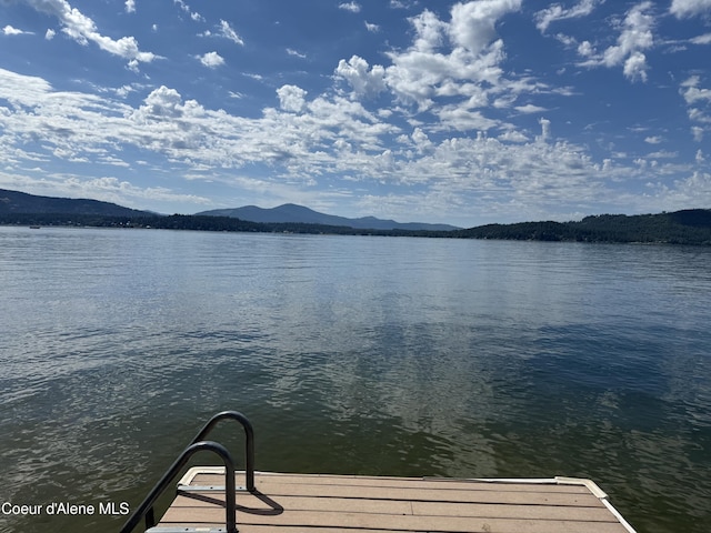 1410 J R Ct, Sandpoint, ID 83864 - photo 40