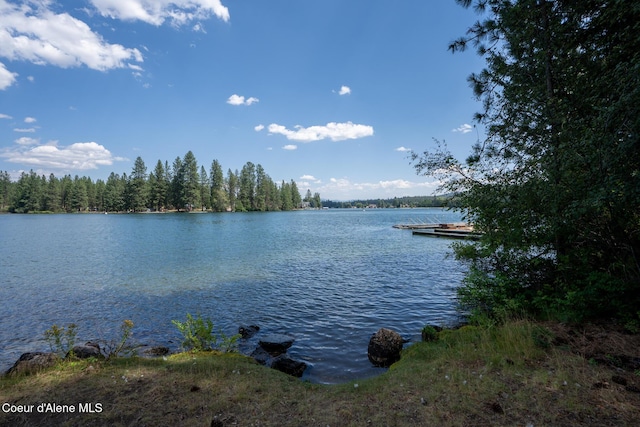 11879 W Riverview Dr, Post Falls, ID 83854 - photo 2