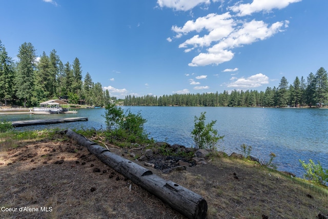 11879 W Riverview Dr, Post Falls, ID 83854 - photo 23