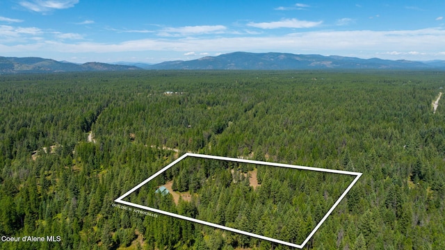 32089 N Newman Dr, Spirit Lake, ID 83869 - photo 40