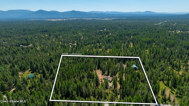 32089 N Newman Dr, Spirit Lake, ID 83869 - photo 41
