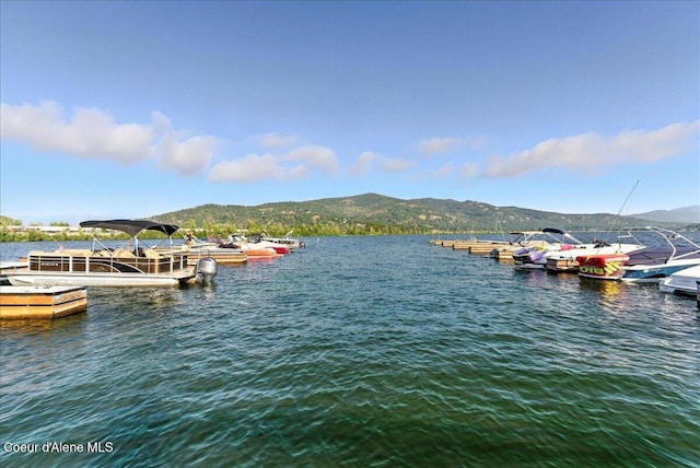301 Iberian Way Unit 113, Sandpoint, ID 83864 - photo 31