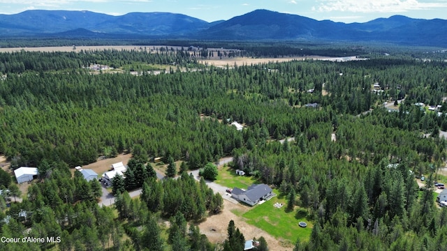 29475 N Miller Rd, Athol, ID 83801 - photo 45