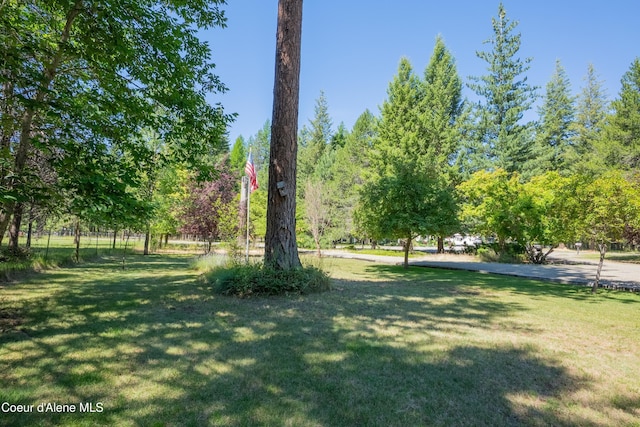 49 Lilac Pl, Bonners Ferry, ID 83805 - photo 3