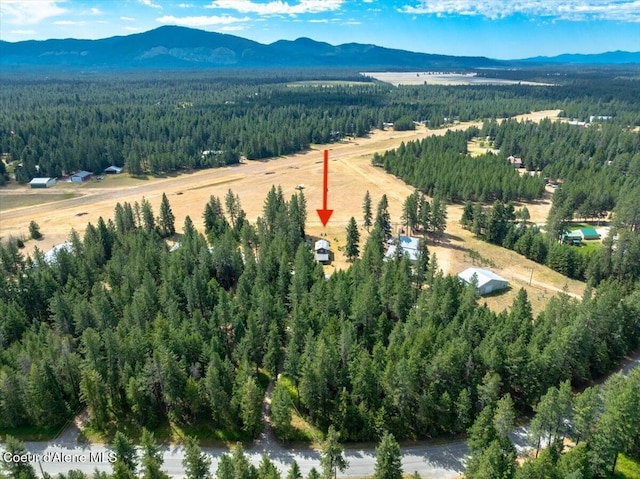 9134 E Howard Rd, Athol, ID 83801 - photo 2