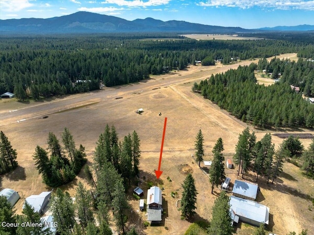 9134 E Howard Rd, Athol, ID 83801 - photo 3