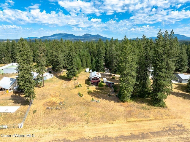 9134 E Howard Rd, Athol, ID 83801 - photo 30