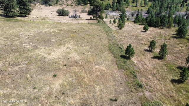 NKA E Coon Creek, Saint Maries, ID 83861 - photo 2
