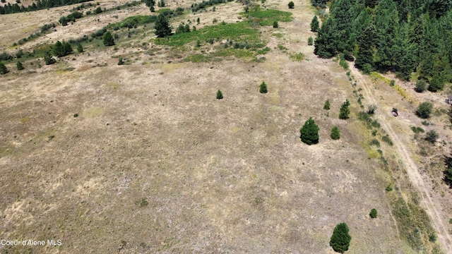 NKA E Coon Creek, Saint Maries, ID 83861 - photo 4