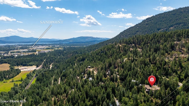 1170 Granite Rdg Dr, Sandpoint, ID 83864 - photo 55