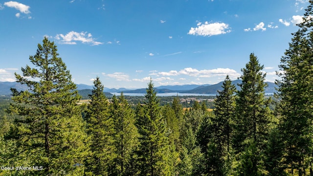 1170 Granite Rdg Dr, Sandpoint, ID 83864 - photo 53