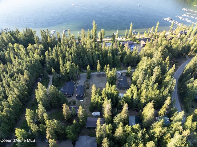 467 Arnold Dr, Coolin, ID 83821 - photo 8