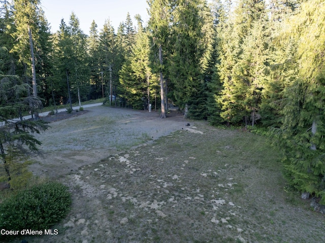467 Arnold Dr, Coolin, ID 83821 - photo 16