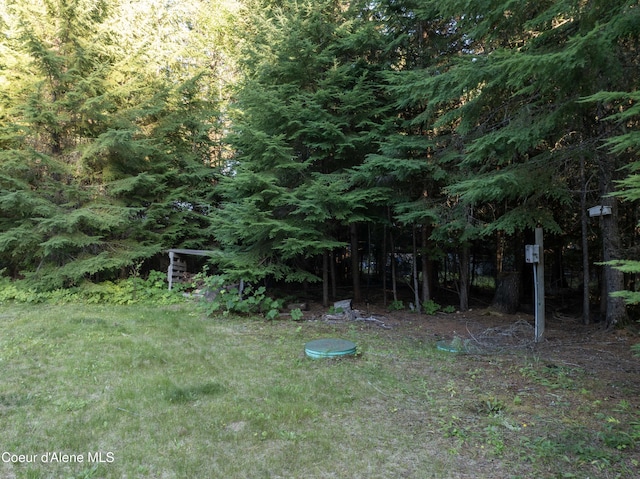 467 Arnold Dr, Coolin, ID 83821 - photo 17