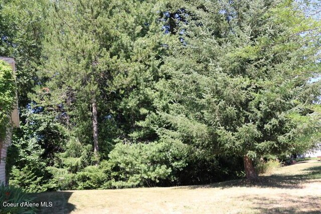 418 Alexander Way, Sandpoint, ID 83864 - photo 39