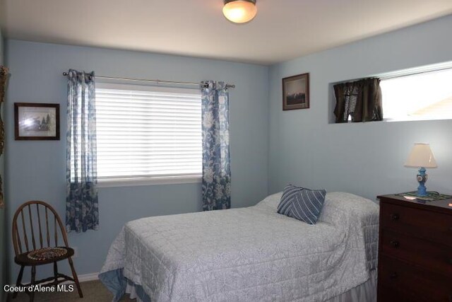 418 Alexander Way, Sandpoint, ID 83864 - photo 71