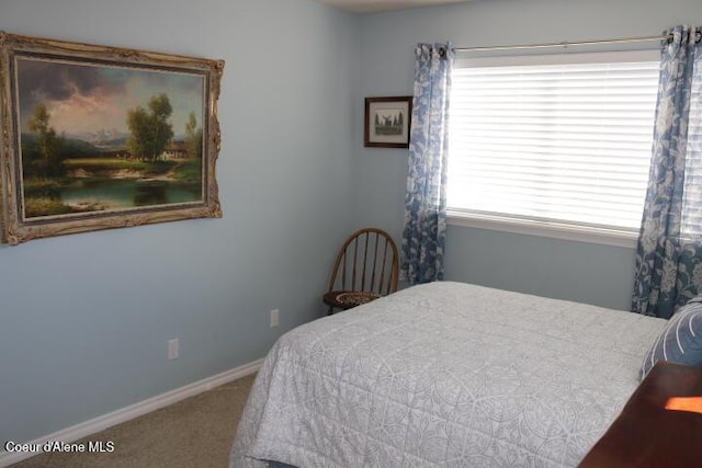418 Alexander Way, Sandpoint, ID 83864 - photo 72