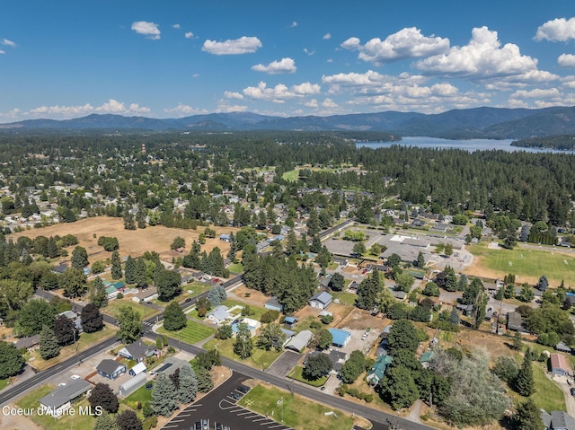 9526 N Maple St, Hayden, ID 83835 - photo 67