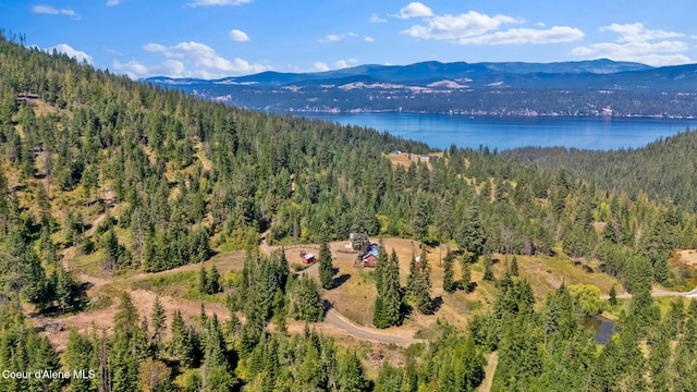 1765 E Alamo Rd, Harrison, ID 83833 - photo 1
