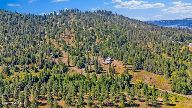 1765 E Alamo Rd, Harrison, ID 83833 - photo 3