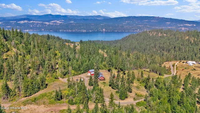 1765 E Alamo Rd, Harrison, ID 83833 - photo 76