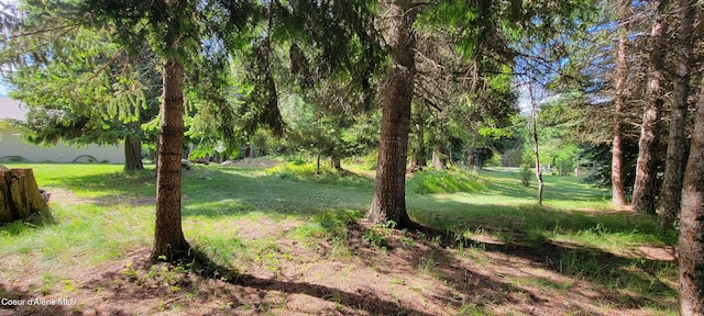 271 Windswept Ct, Naples, ID 83847 - photo 27