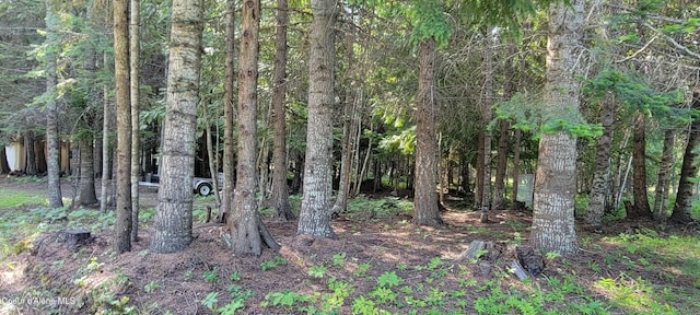 271 Windswept Ct, Naples, ID 83847 - photo 31