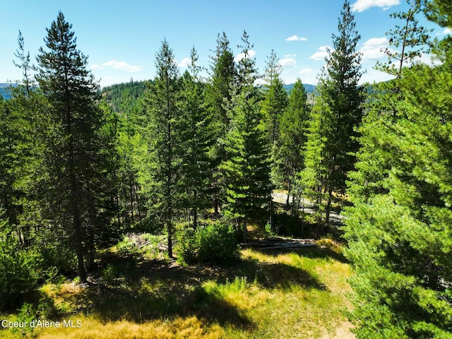 46894 Silver Valley Rd, Smelterville, ID 83868 - photo 5