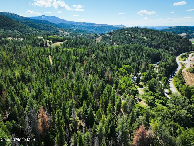 46894 Silver Valley Rd, Smelterville, ID 83868 - photo 21