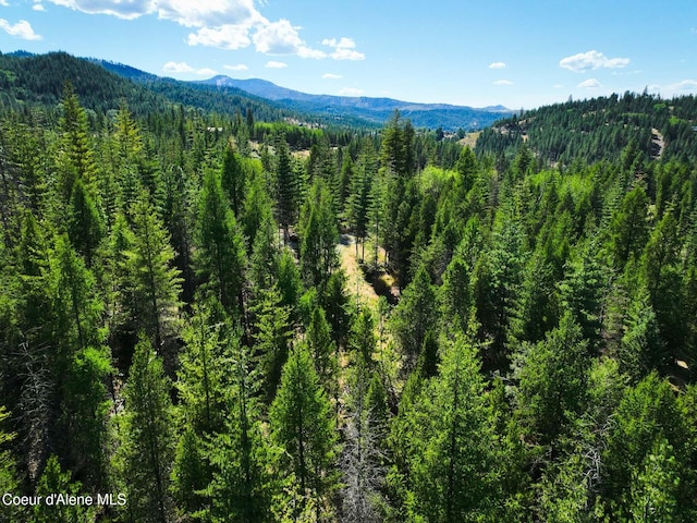 46894 Silver Valley Rd, Smelterville, ID 83868 - photo 22