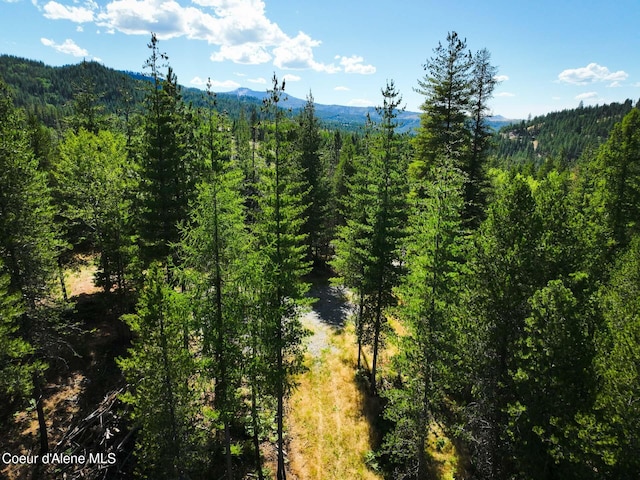46894 Silver Valley Rd, Smelterville, ID 83868 - photo 25