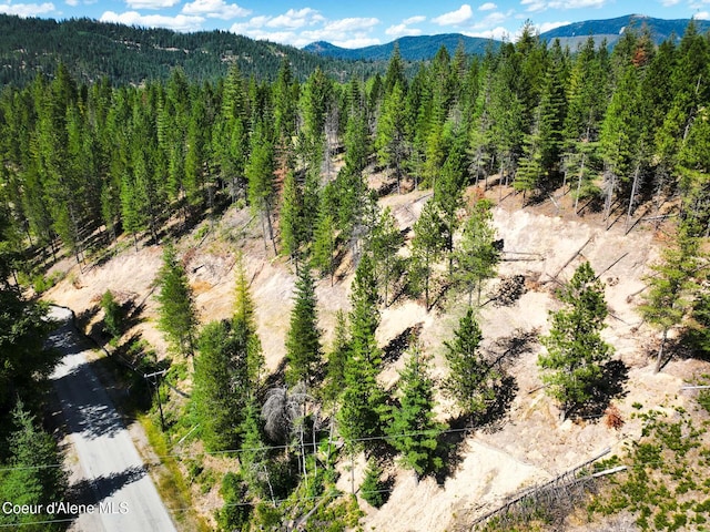 46894 Silver Valley Rd, Smelterville, ID 83868 - photo 27