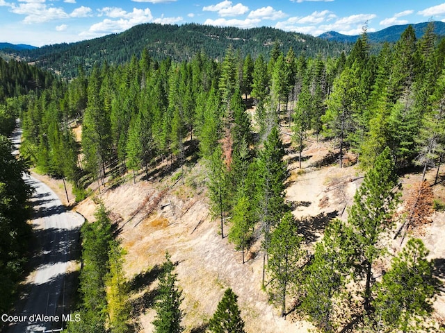 46894 Silver Valley Rd, Smelterville, ID 83868 - photo 28