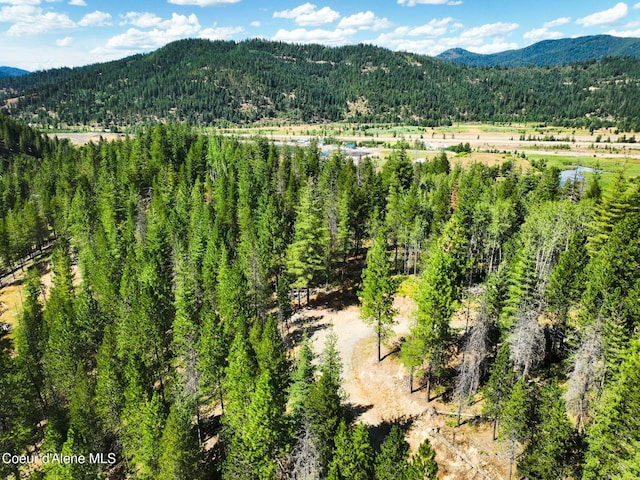 46894 Silver Valley Rd, Smelterville, ID 83868 - photo 29