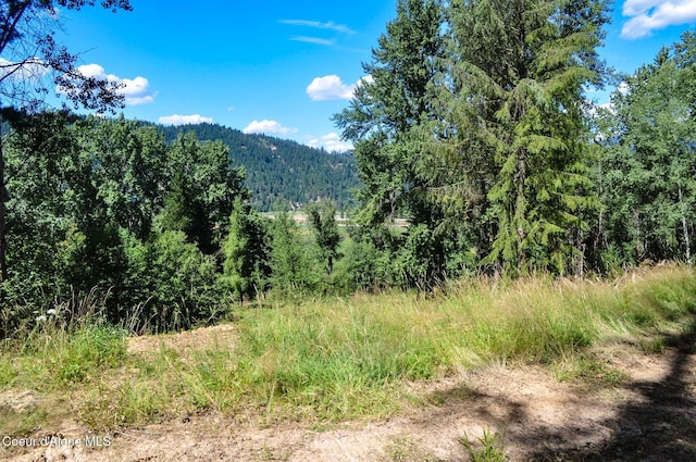 46894 Silver Valley Rd, Smelterville, ID 83868 - photo 17