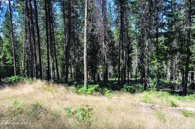 46894 Silver Valley Rd, Smelterville, ID 83868 - photo 33