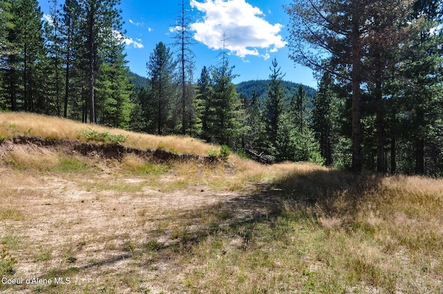 46894 Silver Valley Rd, Smelterville, ID 83868 - photo 35