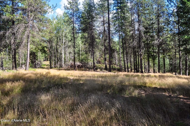 46894 Silver Valley Rd, Smelterville, ID 83868 - photo 42