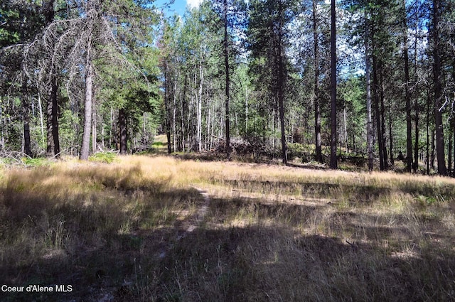 46894 Silver Valley Rd, Smelterville, ID 83868 - photo 44