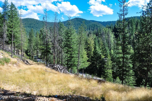 46894 Silver Valley Rd, Smelterville, ID 83868 - photo 49