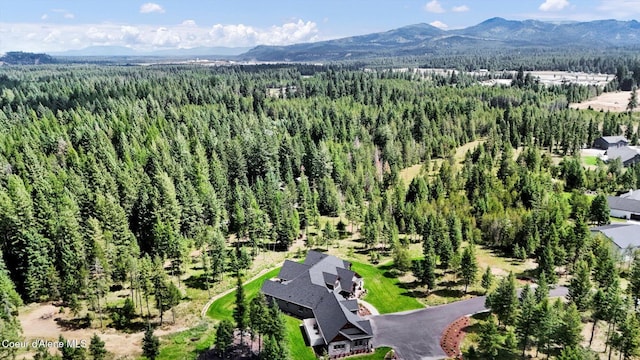 1237 E Amulet Cir, Rathdrum, ID 83858 - photo 53
