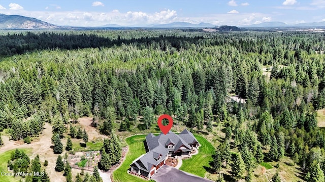 1237 E Amulet Cir, Rathdrum, ID 83858 - photo 50